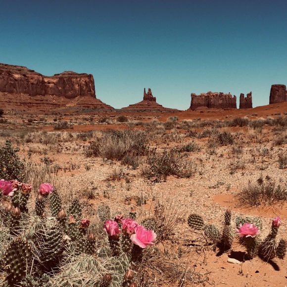 I N S T A G R A M,  F A C E B O O K,  &  T I K T O K: @sangre.de.cristo.vintage - Picture 8 of 11